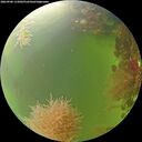 ./images/calvert/underwater/20260906/underwater20260906_115001M.jpg