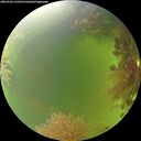./images/calvert/underwater/20260906/underwater20260906_120501M.jpg