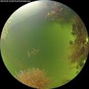 ./images/calvert/underwater/20260906/underwater20260906_121001M.jpg