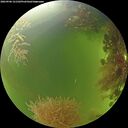 ./images/calvert/underwater/20260906/underwater20260906_121502M.jpg