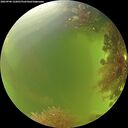 ./images/calvert/underwater/20260906/underwater20260906_122001M.jpg
