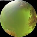 ./images/calvert/underwater/20260906/underwater20260906_122501M.jpg