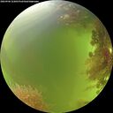 ./images/calvert/underwater/20260906/underwater20260906_123001M.jpg