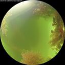 ./images/calvert/underwater/20260906/underwater20260906_124001M.jpg