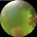 ./images/calvert/underwater/20260906/underwater20260906_125001M.jpg