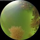 ./images/calvert/underwater/20260906/underwater20260906_125501M.jpg