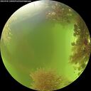./images/calvert/underwater/20260906/underwater20260906_130001M.jpg