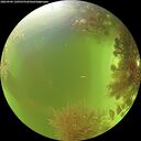 ./images/calvert/underwater/20260906/underwater20260906_130501M.jpg