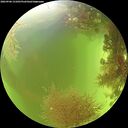 ./images/calvert/underwater/20260906/underwater20260906_131001M.jpg