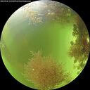 ./images/calvert/underwater/20260906/underwater20260906_131502M.jpg