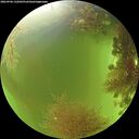 ./images/calvert/underwater/20260906/underwater20260906_132002M.jpg
