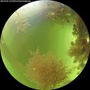 ./images/calvert/underwater/20260906/underwater20260906_132501M.jpg