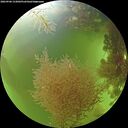 ./images/calvert/underwater/20260906/underwater20260906_133001M.jpg