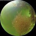 ./images/calvert/underwater/20260906/underwater20260906_133501M.jpg