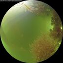 ./images/calvert/underwater/20260906/underwater20260906_134001M.jpg