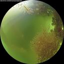 ./images/calvert/underwater/20260906/underwater20260906_134501M.jpg