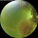 ./images/calvert/underwater/20260906/underwater20260906_135001M.jpg