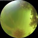 ./images/calvert/underwater/20260906/underwater20260906_135501M.jpg