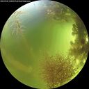./images/calvert/underwater/20260906/underwater20260906_140001M.jpg
