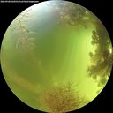 ./images/calvert/underwater/20260906/underwater20260906_140501M.jpg