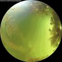 ./images/calvert/underwater/20260906/underwater20260906_141002M.jpg