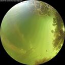 ./images/calvert/underwater/20260906/underwater20260906_141501M.jpg