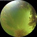 ./images/calvert/underwater/20260906/underwater20260906_142001M.jpg
