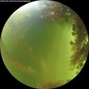 ./images/calvert/underwater/20260906/underwater20260906_142501M.jpg