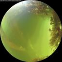 ./images/calvert/underwater/20260906/underwater20260906_143001M.jpg