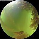 ./images/calvert/underwater/20260906/underwater20260906_143501M.jpg