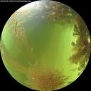./images/calvert/underwater/20260906/underwater20260906_144001M.jpg