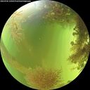 ./images/calvert/underwater/20260906/underwater20260906_145001M.jpg