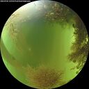 ./images/calvert/underwater/20260906/underwater20260906_145501M.jpg
