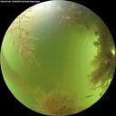 ./images/calvert/underwater/20260906/underwater20260906_150001M.jpg