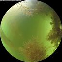 ./images/calvert/underwater/20260906/underwater20260906_150501M.jpg