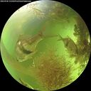 ./images/calvert/underwater/20260906/underwater20260906_151001M.jpg