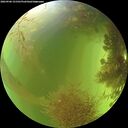 ./images/calvert/underwater/20260906/underwater20260906_151501M.jpg