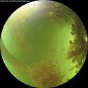 ./images/calvert/underwater/20260906/underwater20260906_152501M.jpg