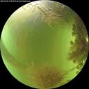 ./images/calvert/underwater/20260906/underwater20260906_153002M.jpg