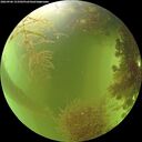 ./images/calvert/underwater/20260906/underwater20260906_153501M.jpg