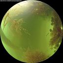 ./images/calvert/underwater/20260906/underwater20260906_154001M.jpg