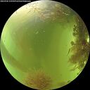 ./images/calvert/underwater/20260906/underwater20260906_154502M.jpg