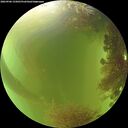 ./images/calvert/underwater/20260906/underwater20260906_155001M.jpg