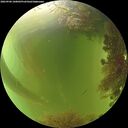 ./images/calvert/underwater/20260906/underwater20260906_160002M.jpg