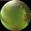 ./images/calvert/underwater/20260906/underwater20260906_160501M.jpg