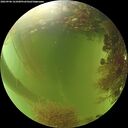 ./images/calvert/underwater/20260906/underwater20260906_161001M.jpg