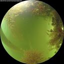 ./images/calvert/underwater/20260906/underwater20260906_161502M.jpg