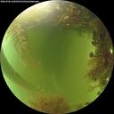 ./images/calvert/underwater/20260906/underwater20260906_162002M.jpg