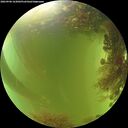 ./images/calvert/underwater/20260906/underwater20260906_163002M.jpg