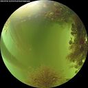 ./images/calvert/underwater/20260906/underwater20260906_163502M.jpg